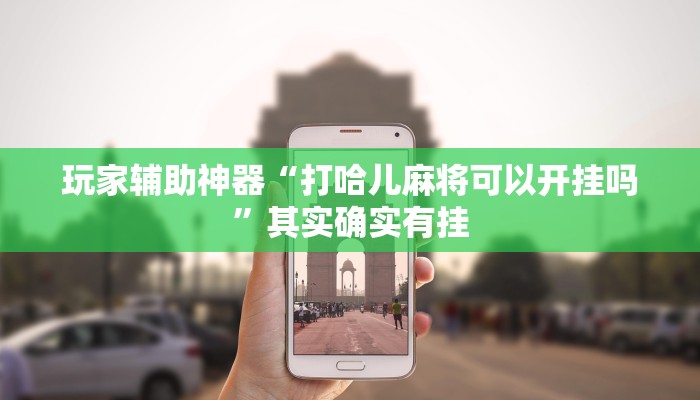 玩家辅助神器“宁海罗松开挂怎么开”其实确实有挂