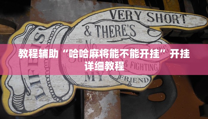 玩家辅助神器“花城牌舍有开挂透视吗”其实确实有挂