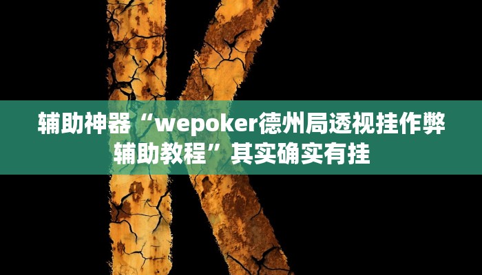 辅助神器“wepoker德州局透视挂作弊辅助教程”其实确实有挂