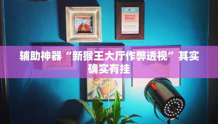 辅助神器“新猴王大厅作弊透视”其实确实有挂 辅助神器“新猴王大厅作弊透视”其实确实有挂