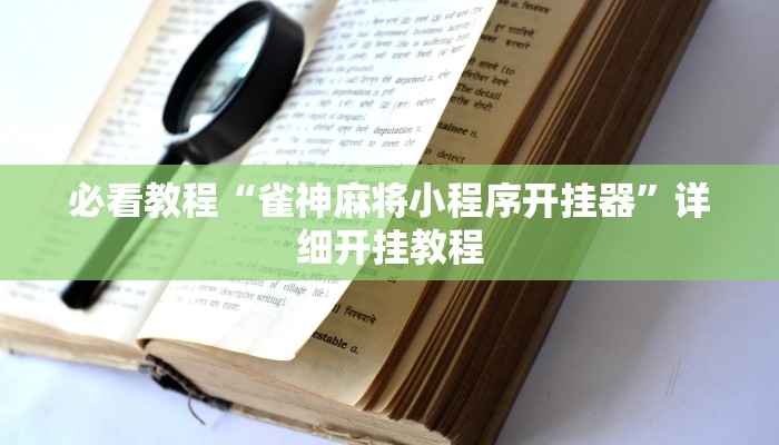 辅助神器“手中畅游辅助专用神器”其实确实有挂