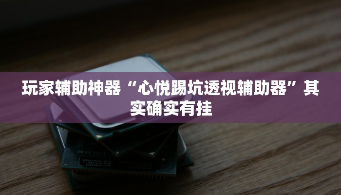 玩家辅助神器:“越乡游绍兴麻将可以开挂吗”其实确实有挂 玩家辅助神器:“越乡游绍兴麻将可以开挂吗”其实确实有挂