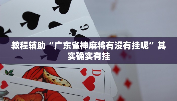 辅助神器“三 哥玩十三张开挂辅助”其实确实有挂