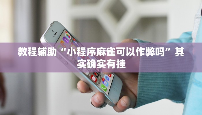 辅助神器“功夫川麻是不是有透视辅助挂”其实确实有挂