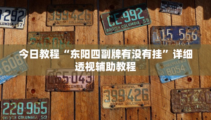 今日教程“东阳四副牌有没有挂”详细透视辅助教程
