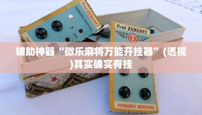 玩家辅助神器:“wepoker开挂透视”开挂详细教程