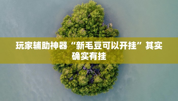 玩家辅助神器“新毛豆可以开挂”其实确实有挂 玩家辅助神器“新毛豆可以开挂”其实确实有挂