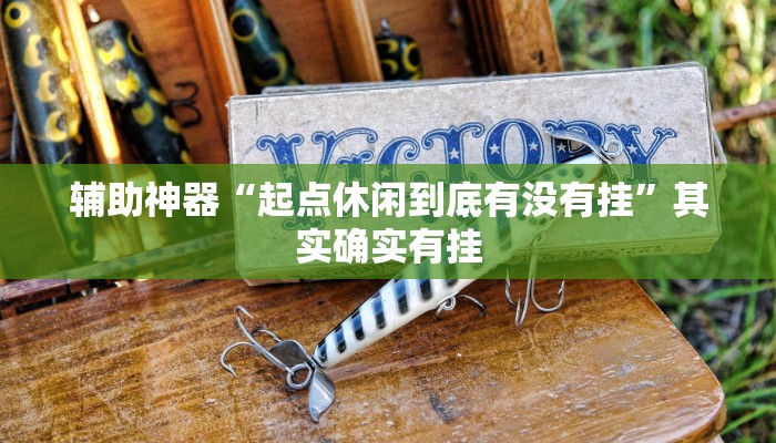 辅助神器“起点休闲到底有没有挂”其实确实有挂 辅助神器“起点休闲到底有没有挂”其实确实有挂