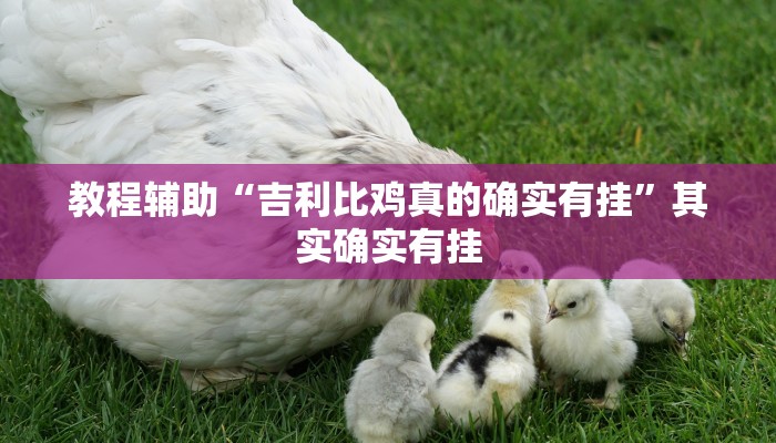 教程辅助“吉利比鸡真的确实有挂”其实确实有挂