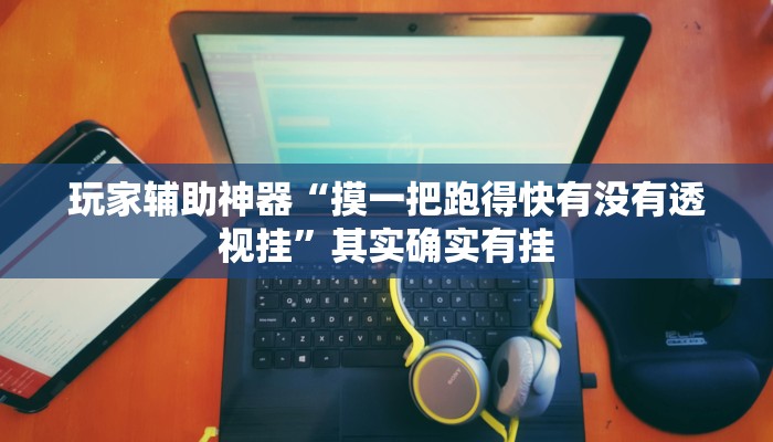 玩家辅助神器“摸一把跑得快有没有透视挂”其实确实有挂