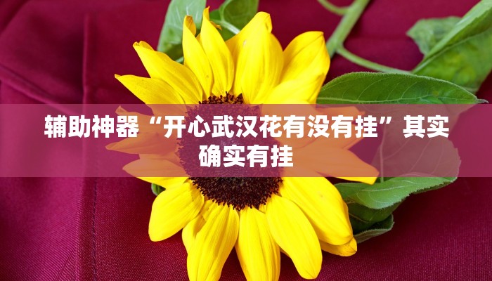 辅助神器“开心武汉花有没有挂”其实确实有挂