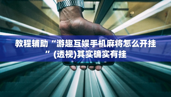 教程辅助“游趣互娱手机麻将怎么开挂”(透视)其实确实有挂