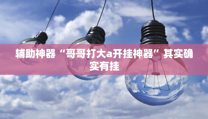 辅助神器“哥哥打大a开挂神器”其实确实有挂