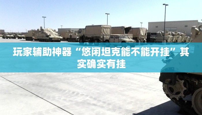 玩家辅助神器“悠闲坦克能不能开挂”其实确实有挂