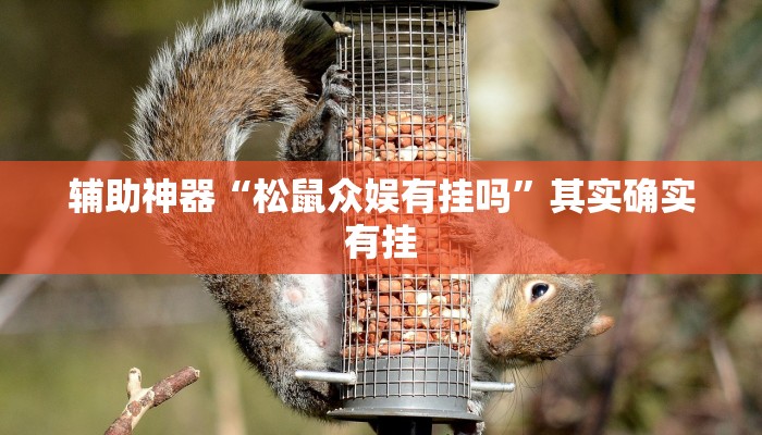 辅助神器“松鼠众娱有挂吗”其实确实有挂