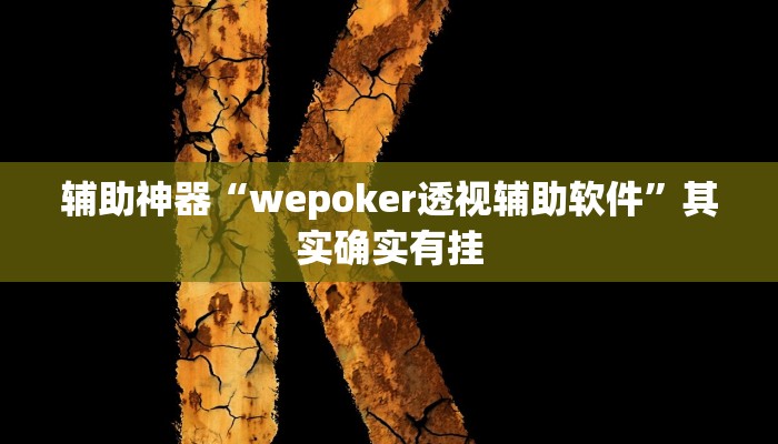 辅助神器“wepoker透视辅助软件”其实确实有挂