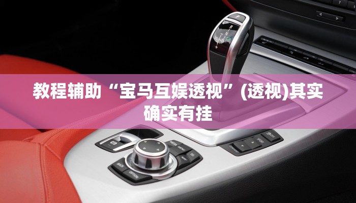 教程辅助“宝马互娱透视”(透视)其实确实有挂