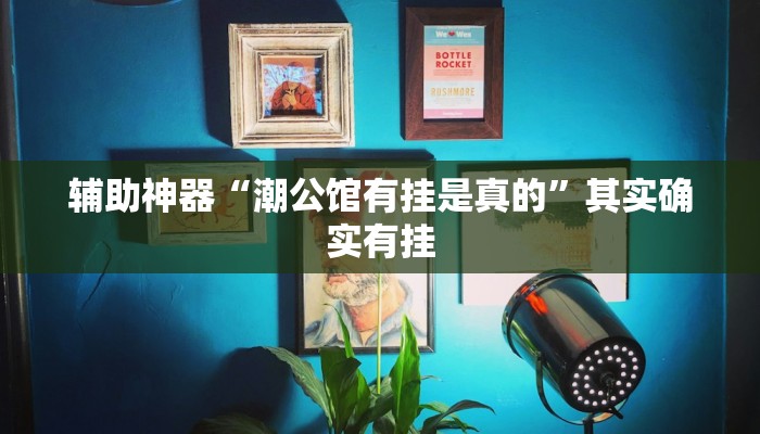 辅助神器“潮公馆有挂是真的”其实确实有挂 辅助神器“潮公馆有挂是真的”其实确实有挂