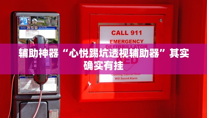 辅助神器“心悦踢坑透视辅助器”其实确实有挂 辅助神器“心悦踢坑透视辅助器”其实确实有挂