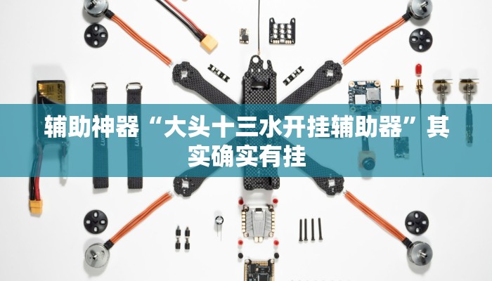 辅助神器“大头十三水开挂辅助器”其实确实有挂