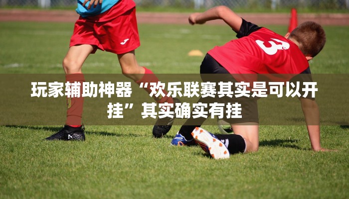 玩家辅助神器“欢乐联赛其实是可以开挂”其实确实有挂