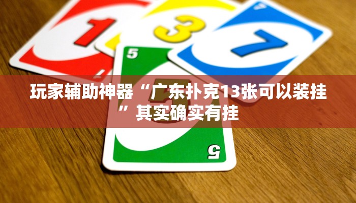 玩家辅助神器“广东扑克13张可以装挂”其实确实有挂 玩家辅助神器“广东扑克13张可以装挂”其实确实有挂
