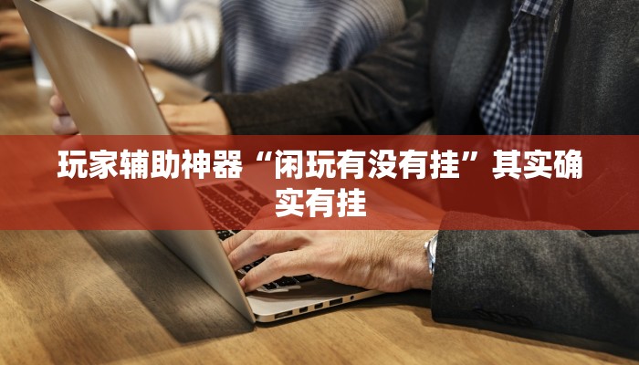 玩家辅助神器“闲玩有没有挂”其实确实有挂