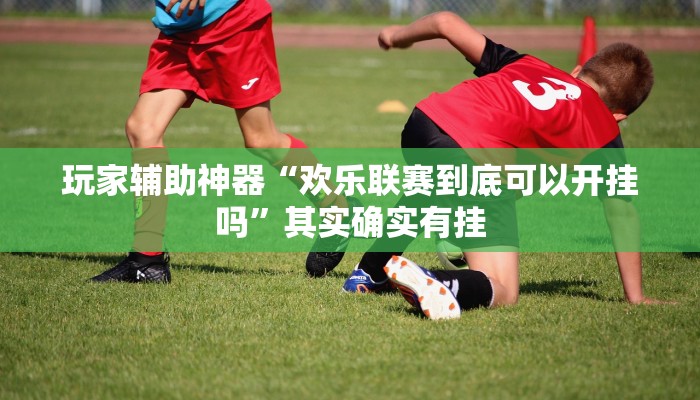 玩家辅助神器“欢乐联赛到底可以开挂吗”其实确实有挂