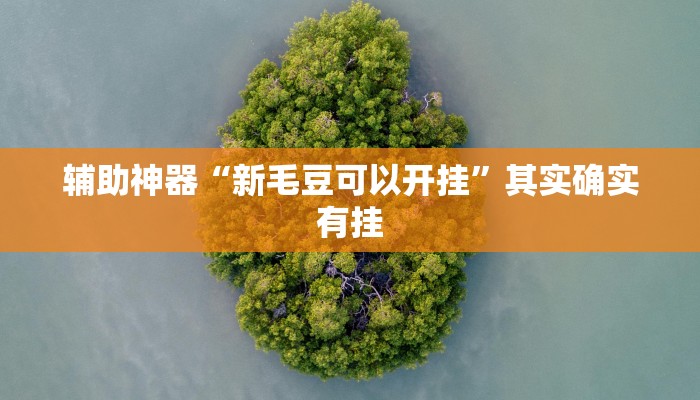 玩家辅助神器“相约麻将十三水有挂吗”其实确实有挂