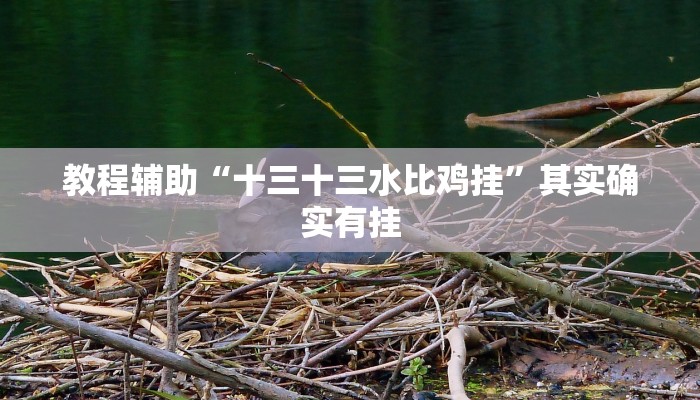 教程辅助“威信茶馆跑得快怎么开挂”开挂(透视)辅助教程