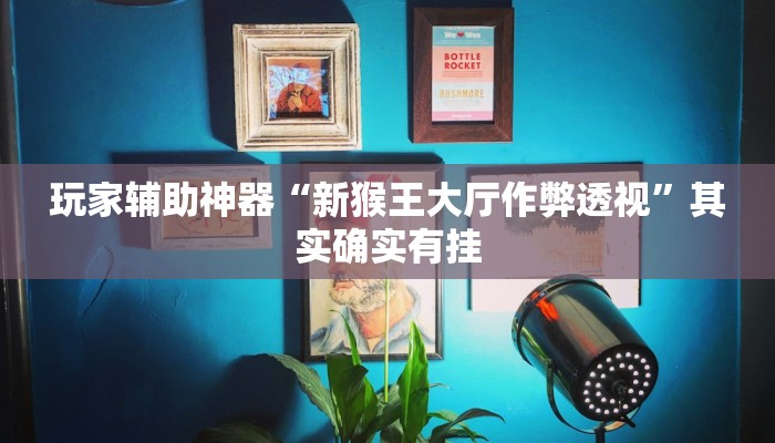 玩家辅助神器“新猴王大厅作弊透视”其实确实有挂 玩家辅助神器“新猴王大厅作弊透视”其实确实有挂