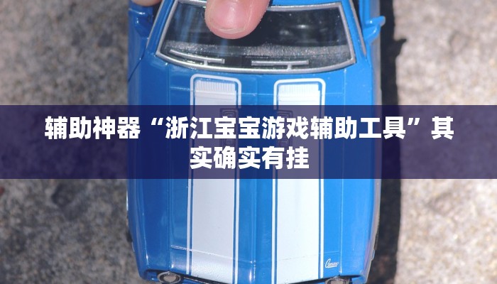 辅助神器“浙江宝宝游戏辅助工具”其实确实有挂