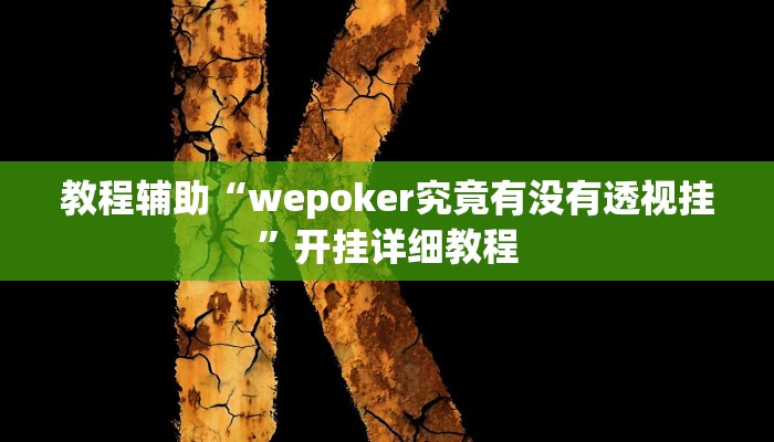 教程辅助“wepoker究竟有没有透视挂”开挂详细教程