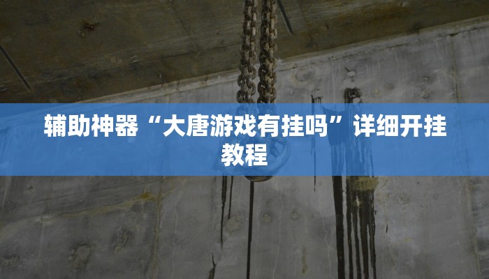 辅助神器“大唐游戏有挂吗”详细开挂教程