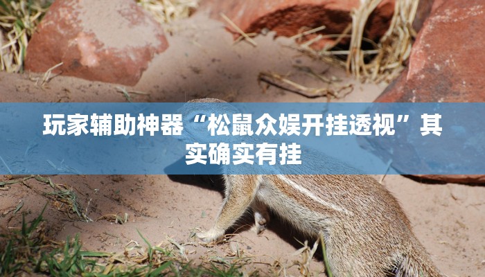 玩家辅助神器“松鼠众娱开挂透视”其实确实有挂