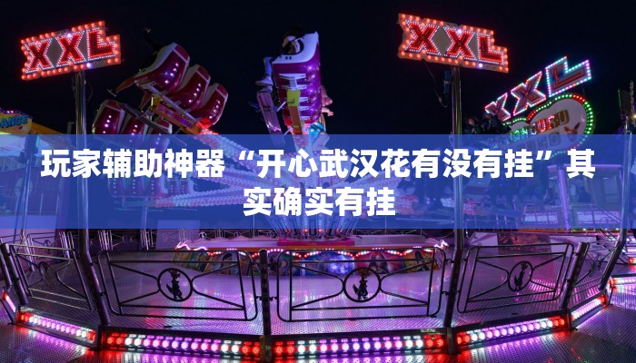 玩家辅助神器“开心武汉花有没有挂”其实确实有挂