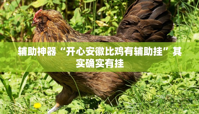 辅助神器“开心安徽比鸡有辅助挂”其实确实有挂