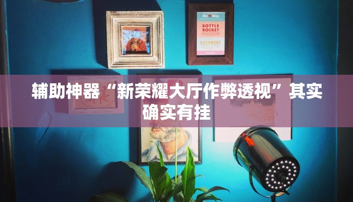 辅助神器“新荣耀大厅作弊透视”其实确实有挂