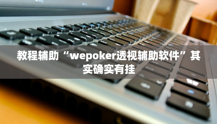 教程辅助“wepoker透视辅助软件”其实确实有挂