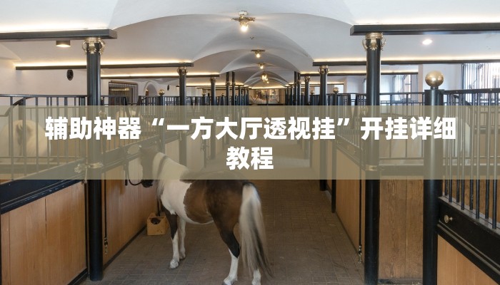 辅助神器“一方大厅透视挂”开挂详细教程 辅助神器“一方大厅透视挂”开挂详细教程