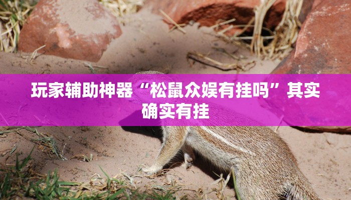 玩家辅助神器“松鼠众娱有挂吗”其实确实有挂 玩家辅助神器“松鼠众娱有挂吗”其实确实有挂