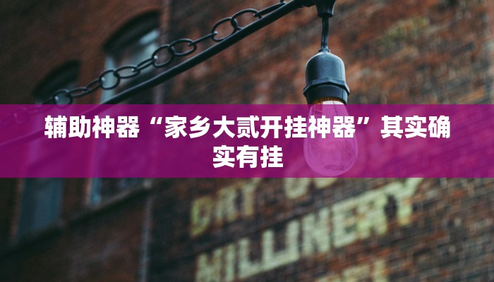 辅助神器“家乡大贰开挂神器”其实确实有挂