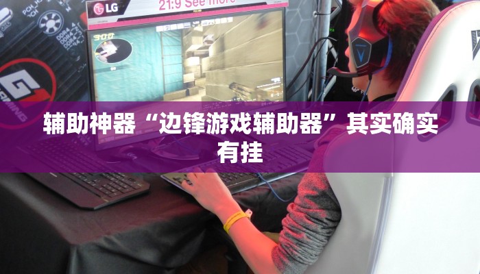 辅助神器“边锋游戏辅助器”其实确实有挂