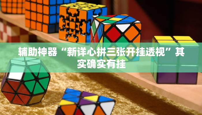 辅助神器“wepoker私人局透视方法”其实确实有挂