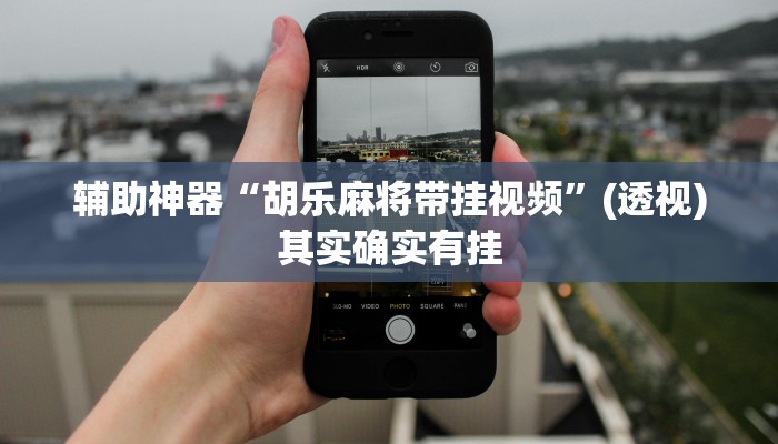 辅助神器“胡乐麻将带挂视频”(透视)其实确实有挂 辅助神器“胡乐麻将带挂视频”(透视)其实确实有挂