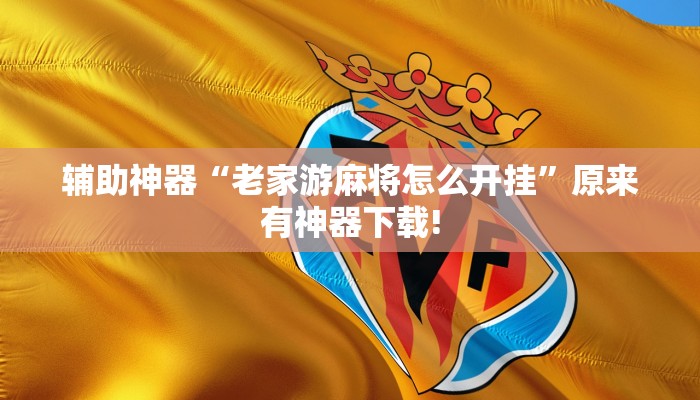 辅助神器“老家游麻将怎么开挂”原来有神器下载!