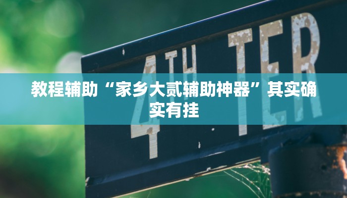 教程辅助“家乡大贰辅助神器”其实确实有挂 教程辅助“家乡大贰辅助神器”其实确实有挂