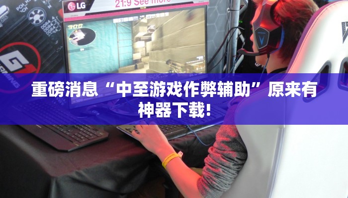 重磅消息“中至游戏作弊辅助”原来有神器下载! 重磅消息“中至游戏作弊辅助”原来有神器下载!