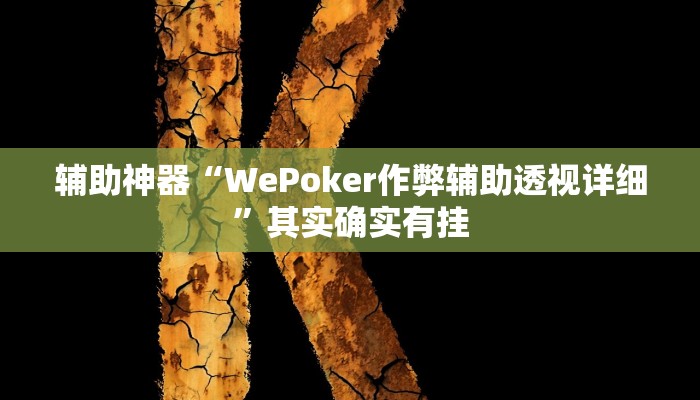 辅助神器“WePoker作弊辅助透视详细”其实确实有挂