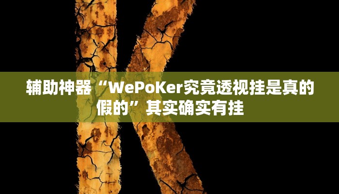 辅助神器“WePoKer究竟透视挂是真的假的”其实确实有挂 辅助神器“WePoKer究竟透视挂是真的假的”其实确实有挂